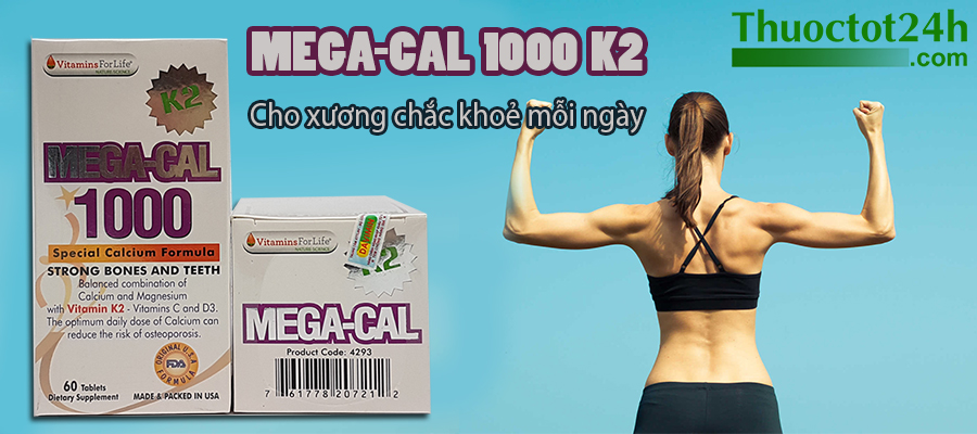 Mega-Cal 1000 K2