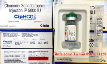 Thuốc Cip HCG Chorionic Gonadotropin 5000 IU giá bao nhiêu mua ở đâu?