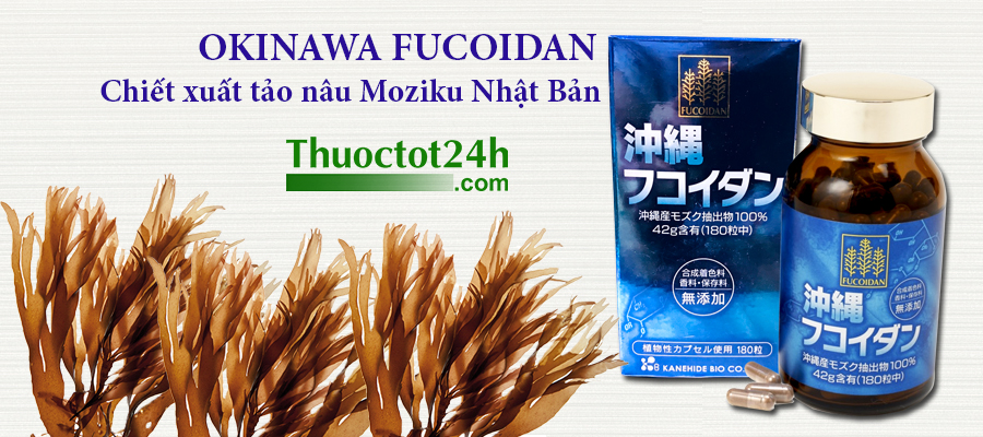 Okinawa Fucoidan Chiết xuất từ tảo nâu Nhật Bản