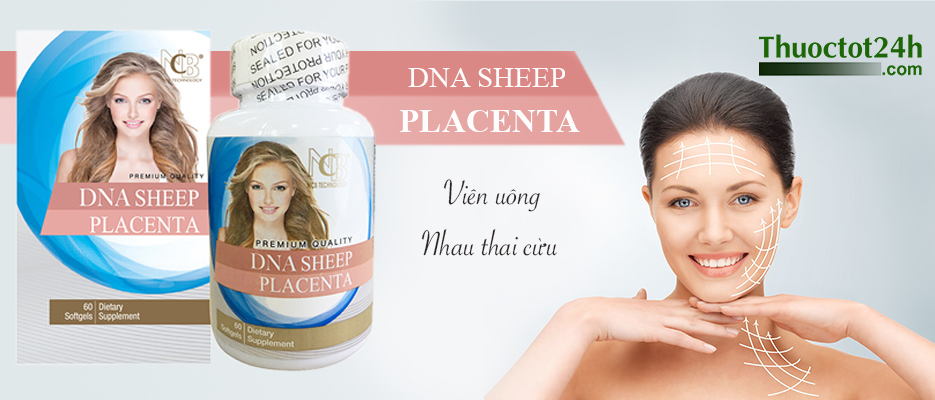 DNA Sheep Placenta