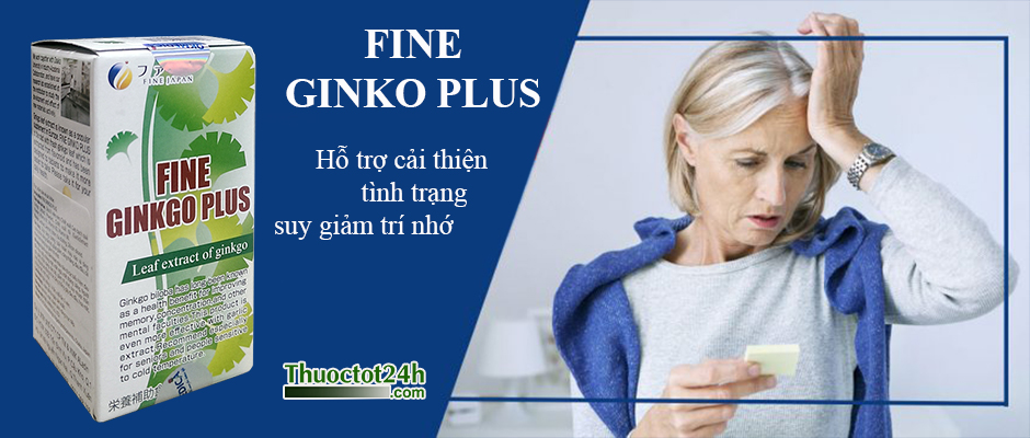 Fine Ginko Plus