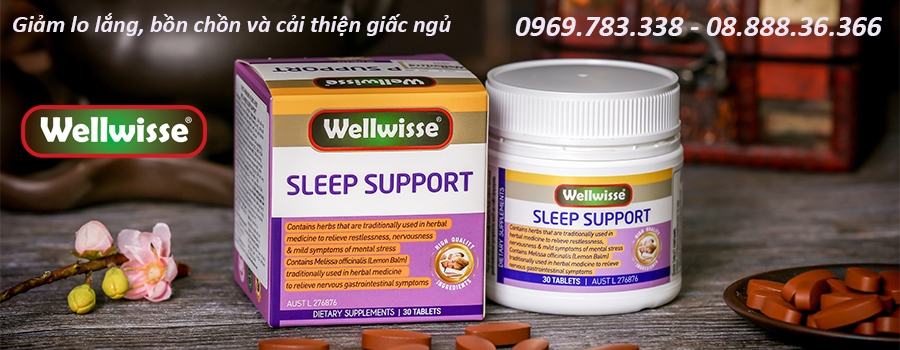 Wellwisse sleep support banner
