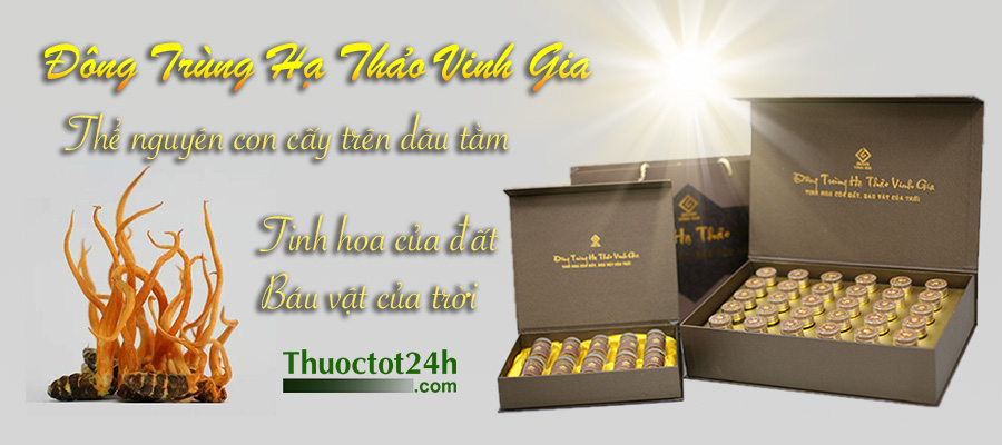 Đông Trùng Hạ Thảo Vinh Gia nguyên con